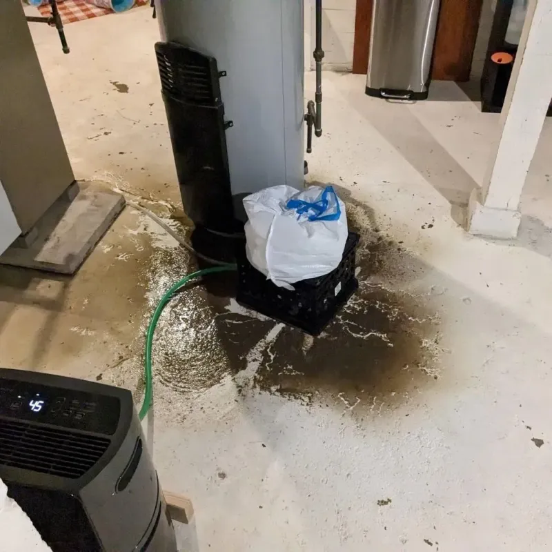 Sewage Backup Cleanup Service in Henry County, AL